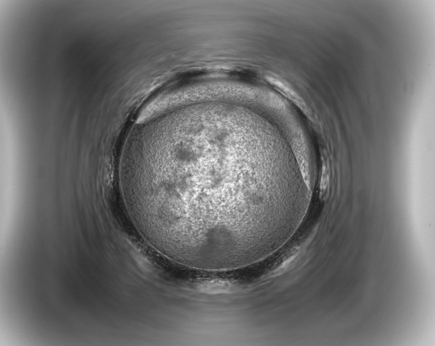 X0000085750593200703161056