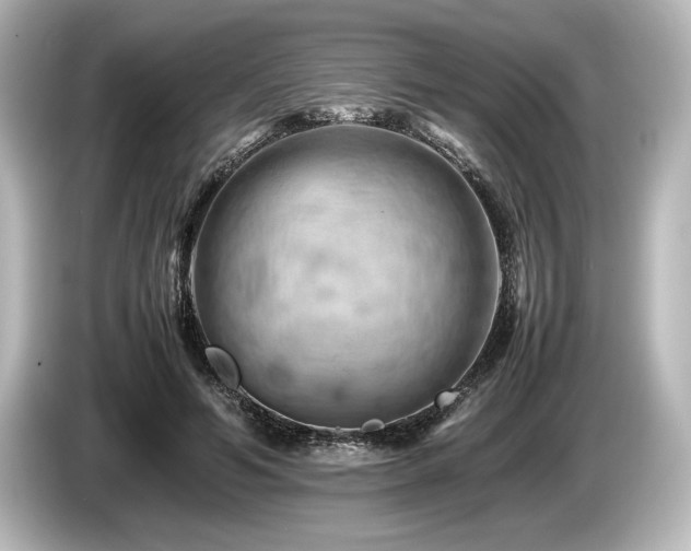 X0000085750594200703161056