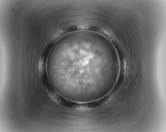 X0000085750598200703161056