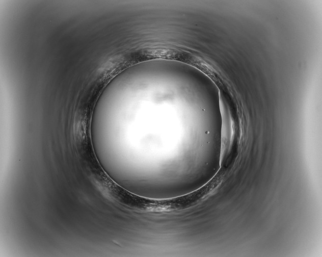 X0000085750602200703161056