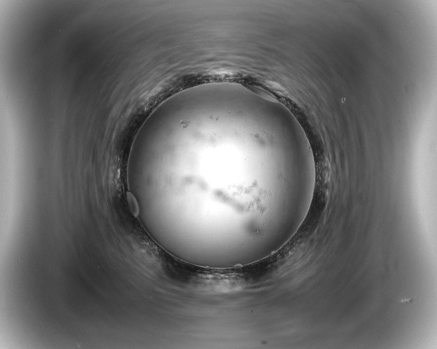 X0000085750615200703161056