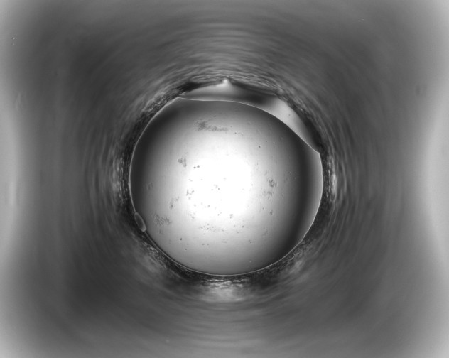 X0000085750616200703161056