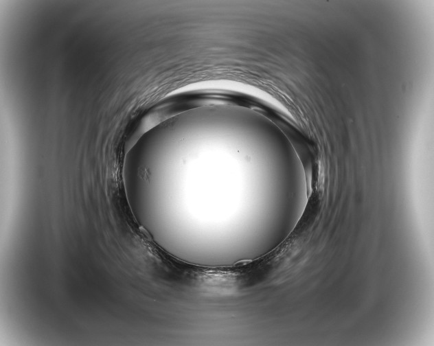 X0000085750617200703161056