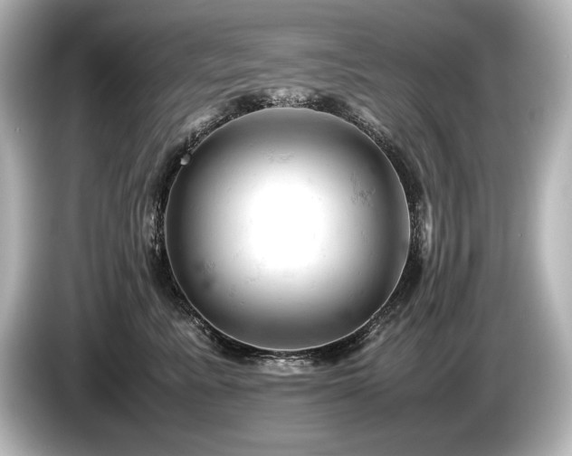 X0000085750619200703161056