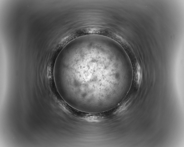 X0000085750620200703161056