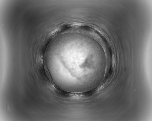 X0000085750621200703161056