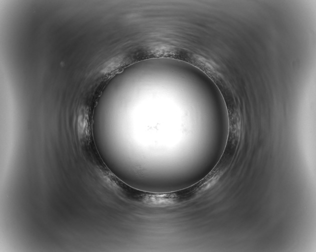X0000085750622200703161056