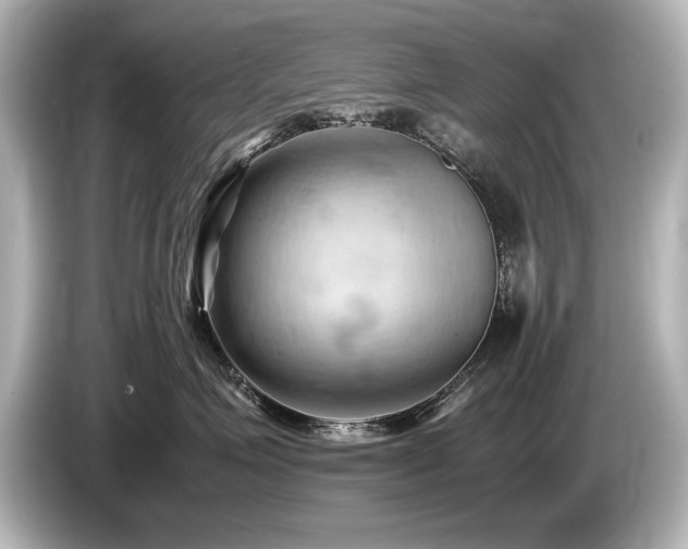 X0000085750623200703161056