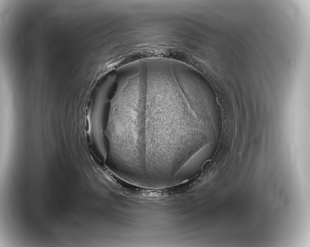X0000085750624200703161056