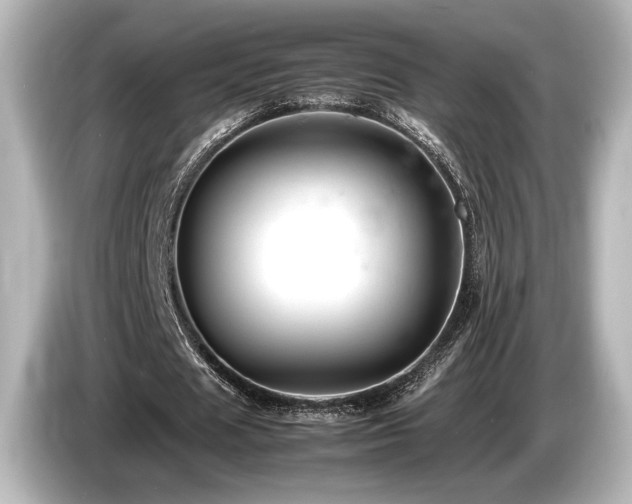 X0000085750625200703161055