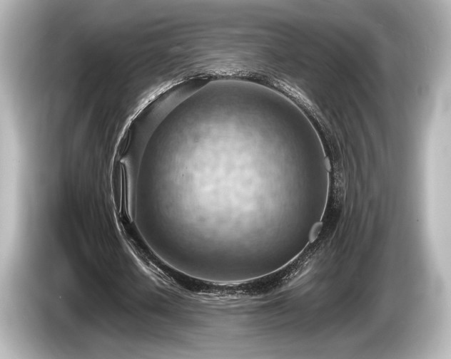 X0000085750626200703161055
