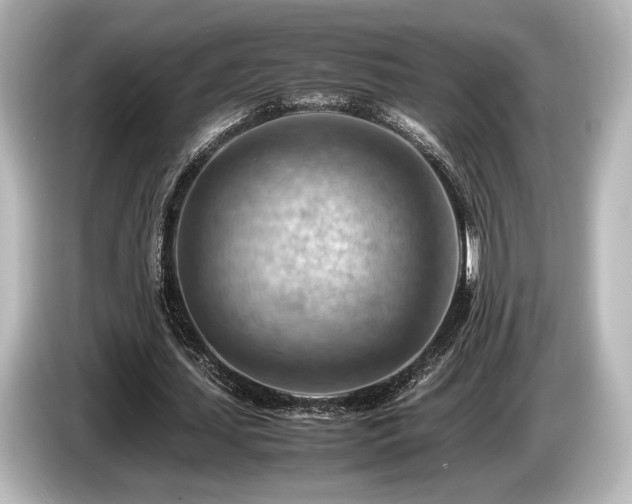 X0000085750627200703161055