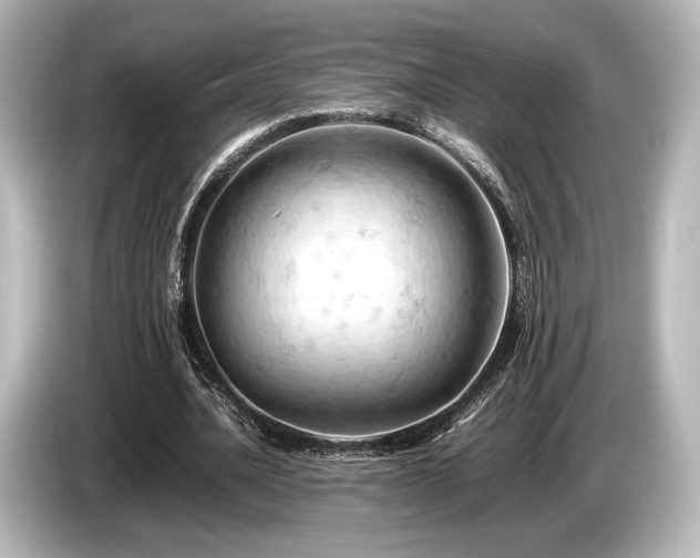 X0000085750628200703161055