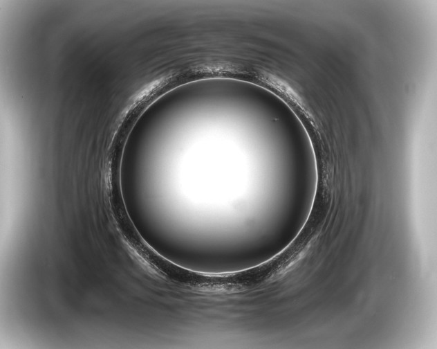X0000085750629200703161055