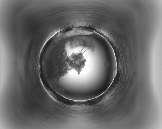 X0000085750630200703161055