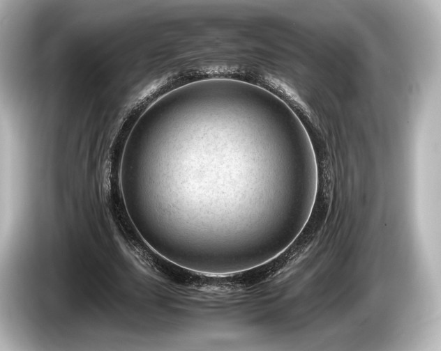 X0000085750631200703161055