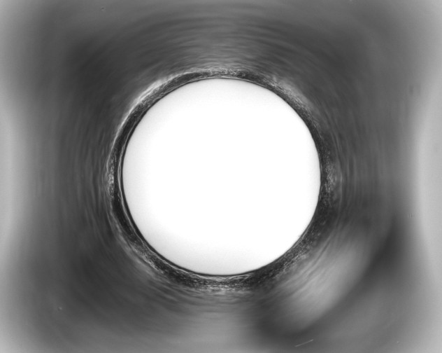 X0000085750632200703161055