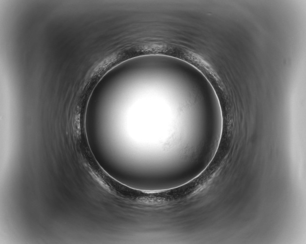 X0000085750633200703161055