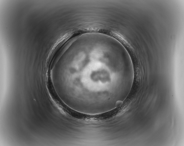 X0000085750634200703161055