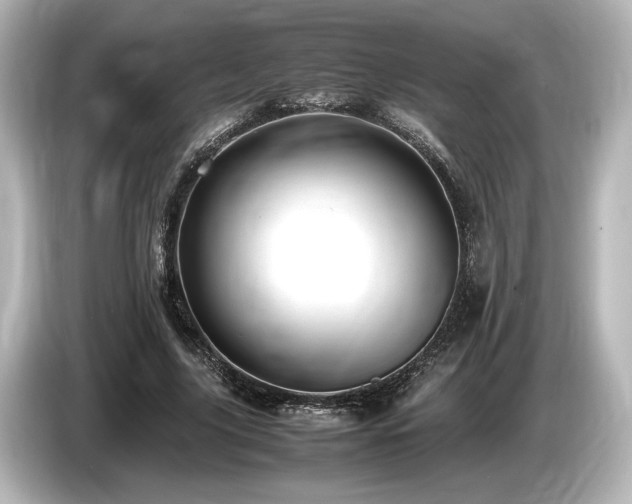 X0000085750635200703161055