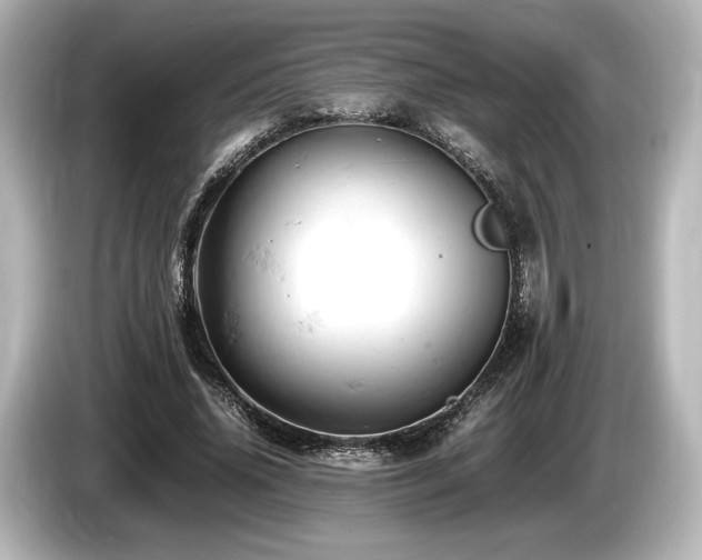 X0000085750636200703161055