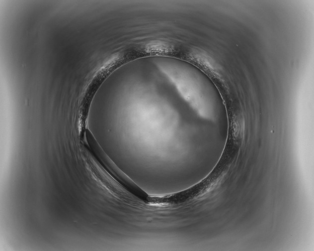 X0000085750637200703161055