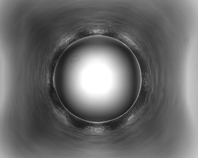X0000085750639200703161055
