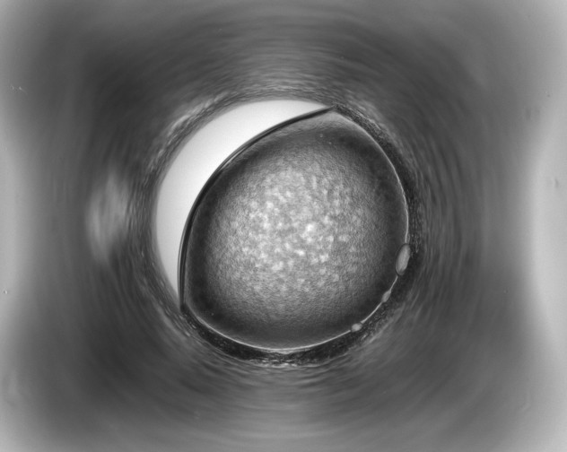 X0000085750640200703161055