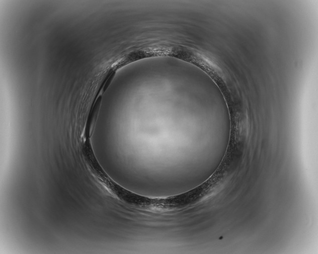 X0000085750641200703161055