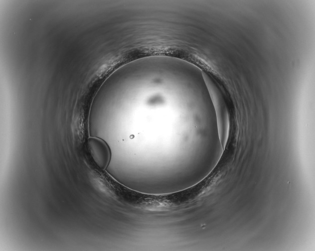 X0000085750642200703161055