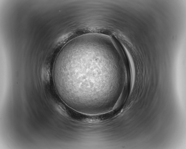 X0000085750644200703161055