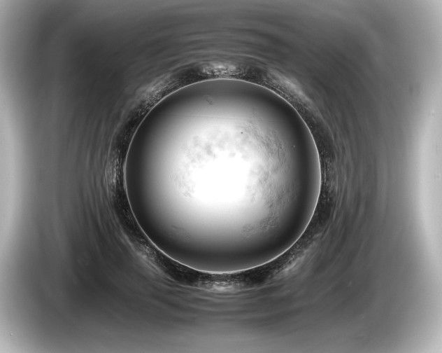 X0000085750645200703161055