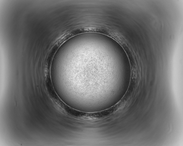 X0000085750648200703161055