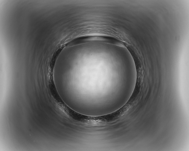 X0000085750650200703161055
