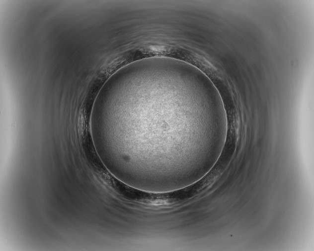 X0000085750651200703161055