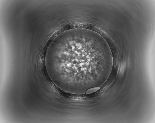 X0000085750661200703161056