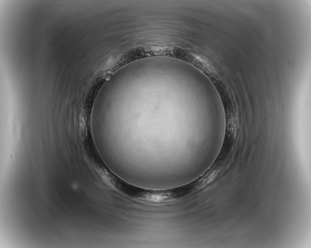 X0000085750662200703161056