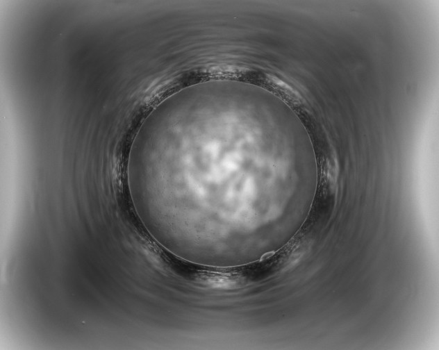 X0000085750663200703161056