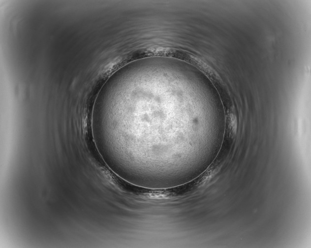 X0000085750668200703161056