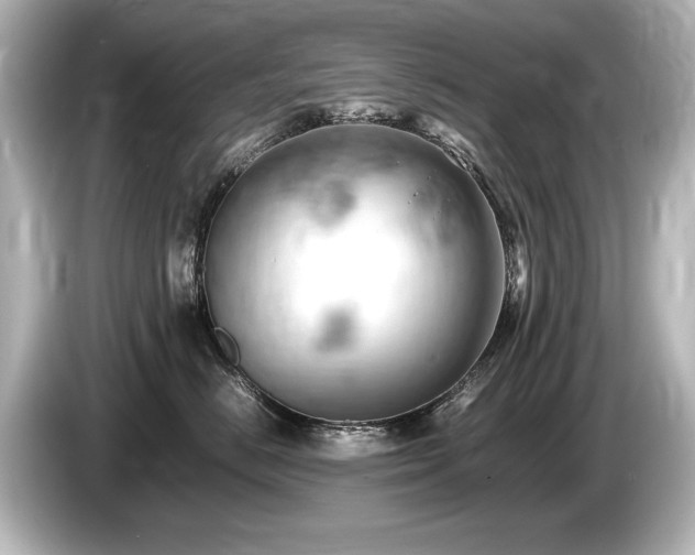 X0000085750670200703161056