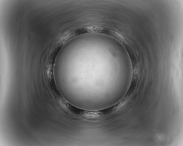 X0000085750671200703161056