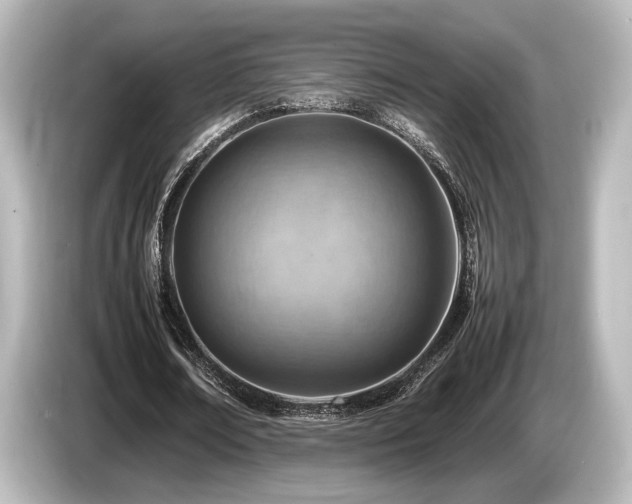X0000085750674200703161055