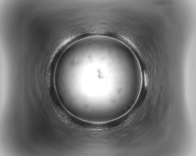 X0000085750675200703161055