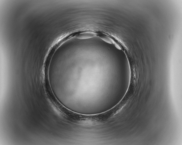 X0000085750678200703161055