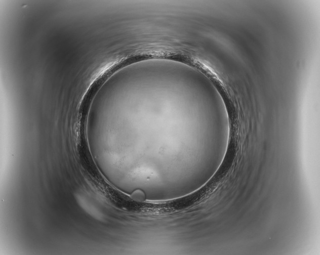 X0000085750679200703161055