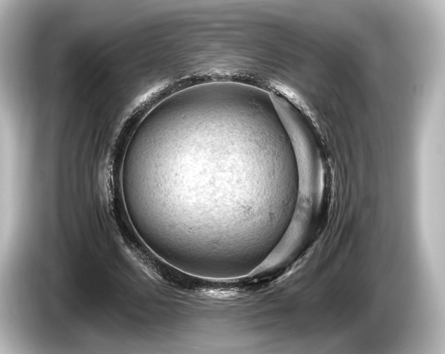X0000085750680200703161055