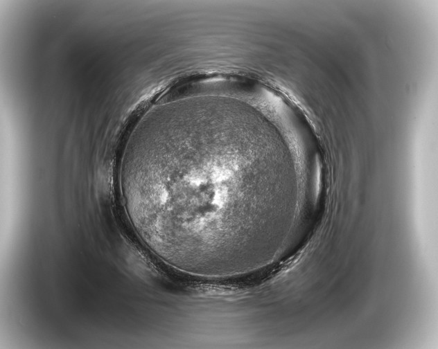 X0000085750681200703161055