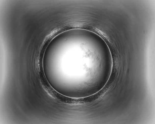 X0000085750682200703161055