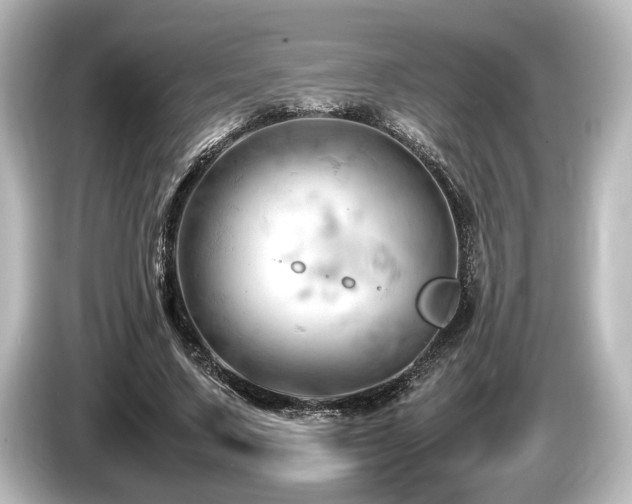 X0000085750683200703161055