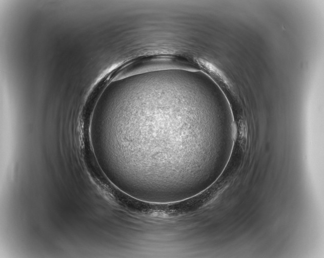 X0000085750684200703161055